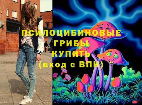 СК Костерёво